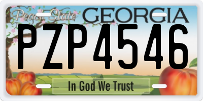 GA license plate PZP4546