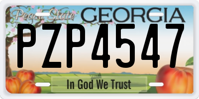 GA license plate PZP4547