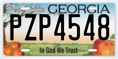 GA license plate PZP4548