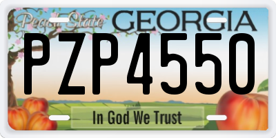 GA license plate PZP4550