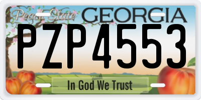 GA license plate PZP4553