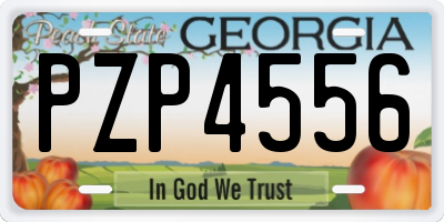 GA license plate PZP4556