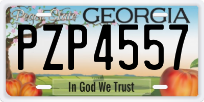 GA license plate PZP4557