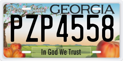 GA license plate PZP4558