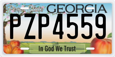 GA license plate PZP4559