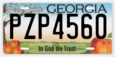 GA license plate PZP4560