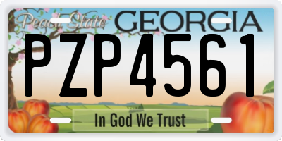 GA license plate PZP4561