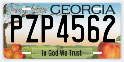 GA license plate PZP4562