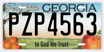 GA license plate PZP4563