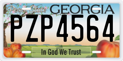 GA license plate PZP4564