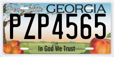 GA license plate PZP4565
