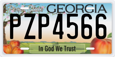 GA license plate PZP4566