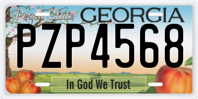 GA license plate PZP4568