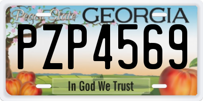 GA license plate PZP4569
