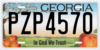 GA license plate PZP4570