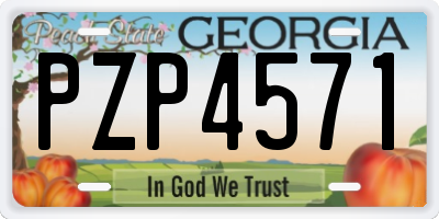 GA license plate PZP4571