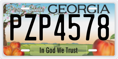 GA license plate PZP4578