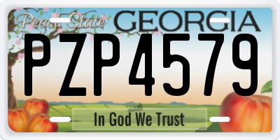 GA license plate PZP4579