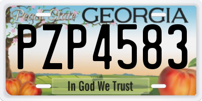 GA license plate PZP4583