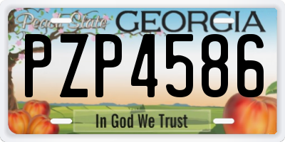 GA license plate PZP4586
