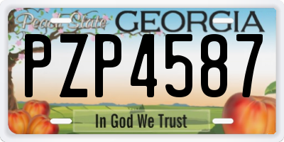 GA license plate PZP4587