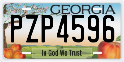 GA license plate PZP4596