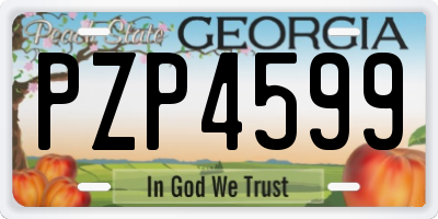GA license plate PZP4599