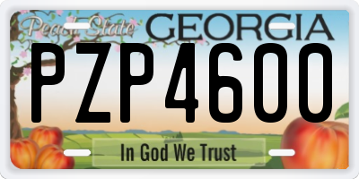 GA license plate PZP4600
