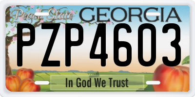 GA license plate PZP4603