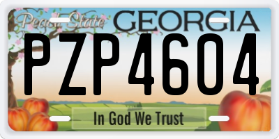 GA license plate PZP4604