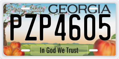 GA license plate PZP4605