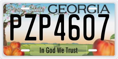 GA license plate PZP4607