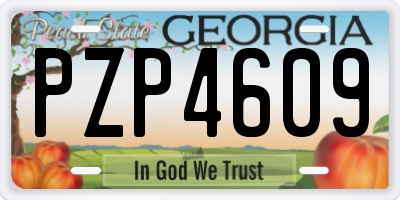 GA license plate PZP4609