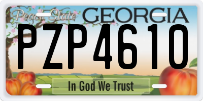 GA license plate PZP4610