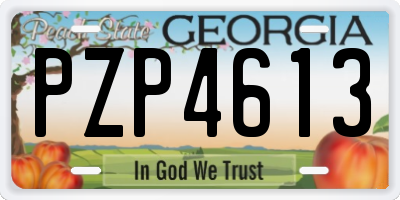 GA license plate PZP4613