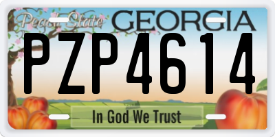 GA license plate PZP4614