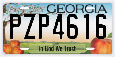 GA license plate PZP4616