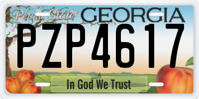 GA license plate PZP4617