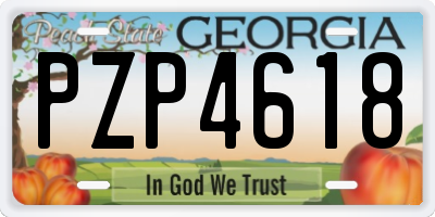 GA license plate PZP4618