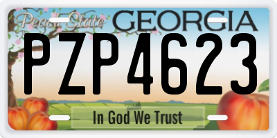 GA license plate PZP4623