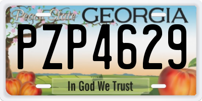 GA license plate PZP4629