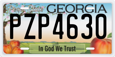 GA license plate PZP4630