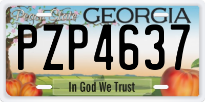 GA license plate PZP4637