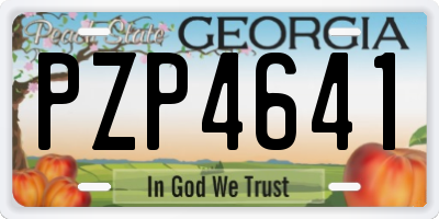 GA license plate PZP4641