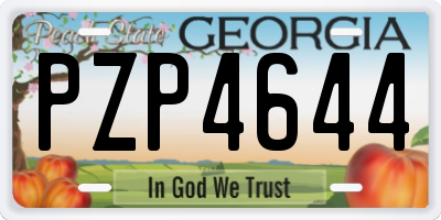 GA license plate PZP4644