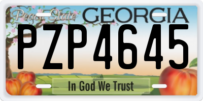 GA license plate PZP4645