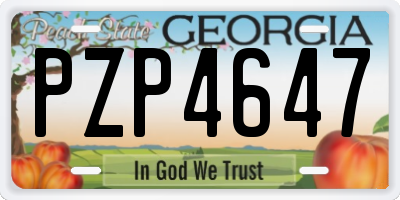 GA license plate PZP4647