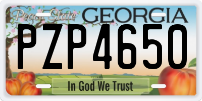 GA license plate PZP4650