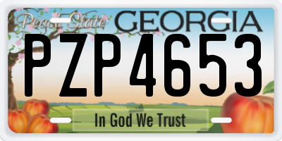 GA license plate PZP4653