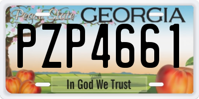 GA license plate PZP4661